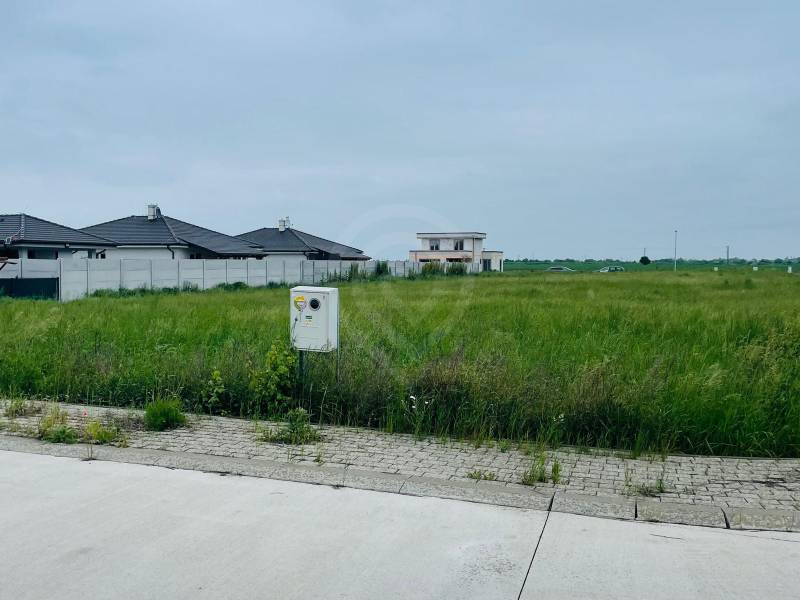 WhatsApp Image 2025-12-12 at 11.49.38 (1).jpeg