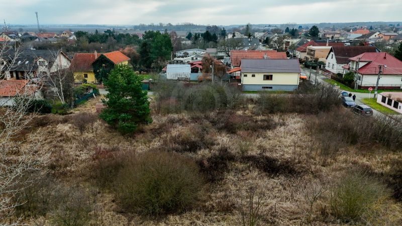 DJI_20260210135559_0709_D.jpeg
