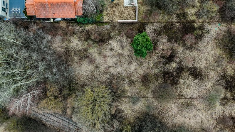 DJI_20260210135340_0703_D.jpeg