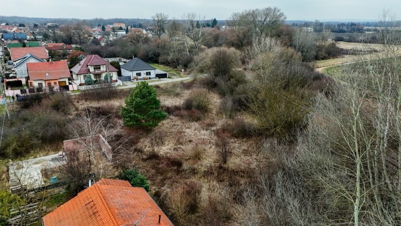 DJI_20260210135108_0697_D.jpeg