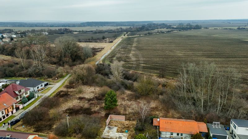 DJI_20260210135212_0701_D.jpeg