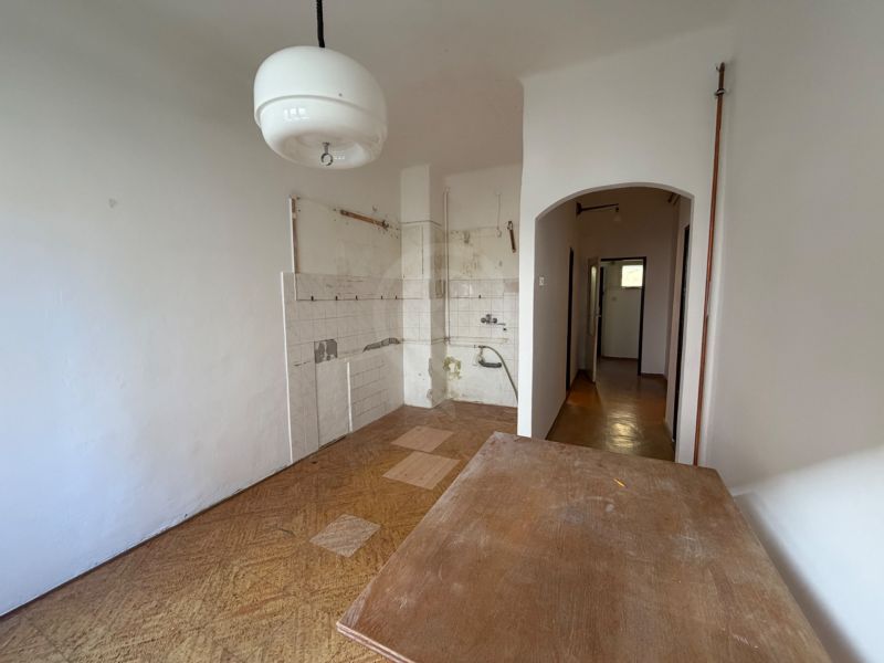 IMG_3384.jpeg