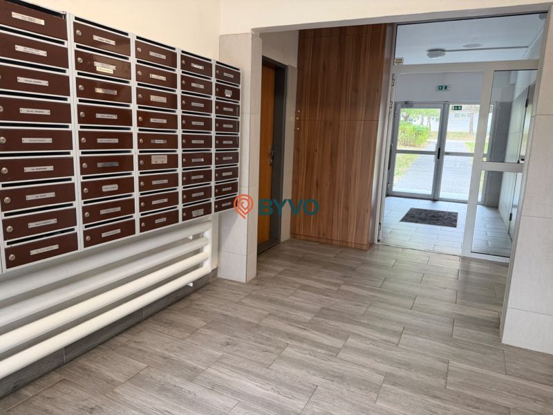 IMG_5024.jpeg